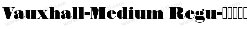 Vauxhall-Medium Regu字体转换